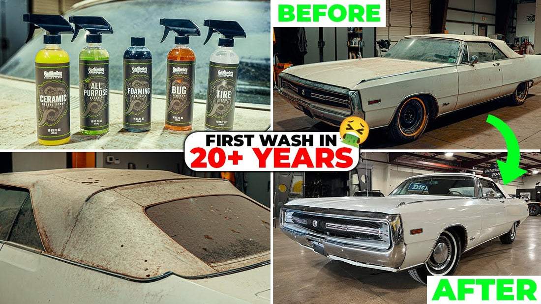 20+ Years Since A Wash 🤮 Country Star David Allen Coe's old MOPAR