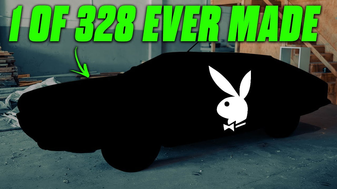 Covered car in a garage, marked 1 of 328 ever made, with a Playboy bunny logo
