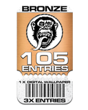 Bronze Easy Entry